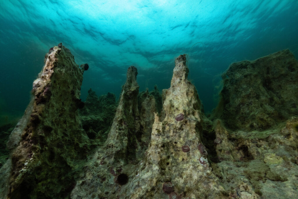 Ikkasøjlerne i Sydvestgrønland – unikt naturfænomen under pres af ...